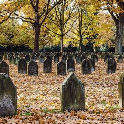 Servizi cimiteriali